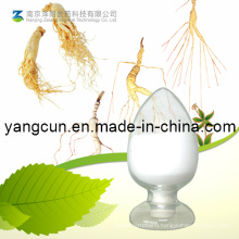 Natural Ginseng Root / Leaf Extract Ginsenosides